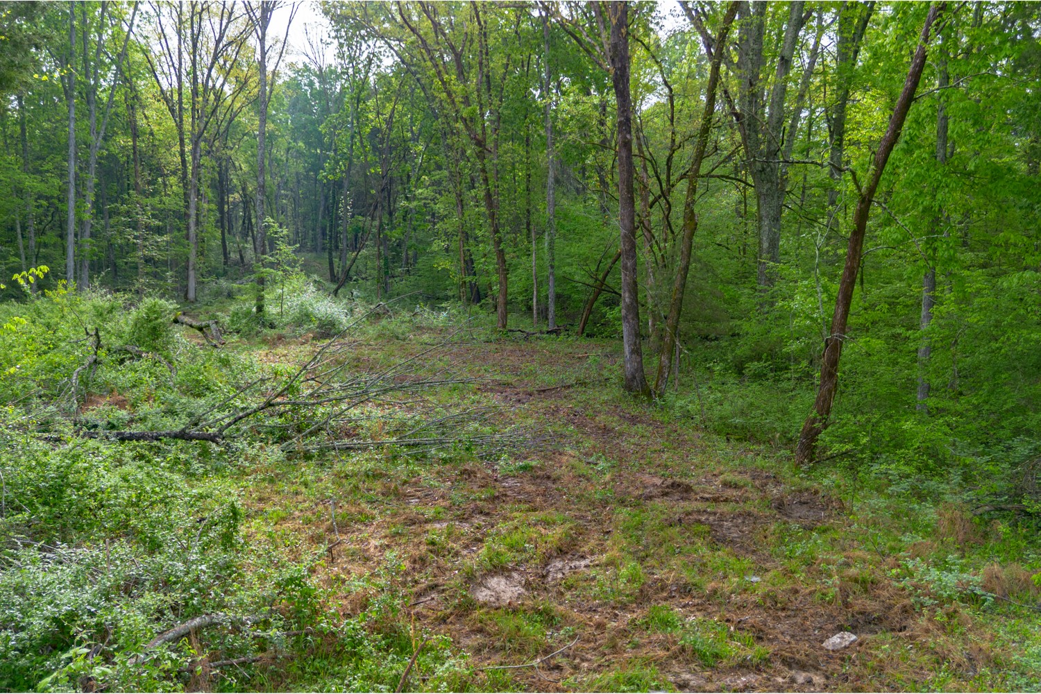 6205 Hunters Point Pike Lebanon TN 37087