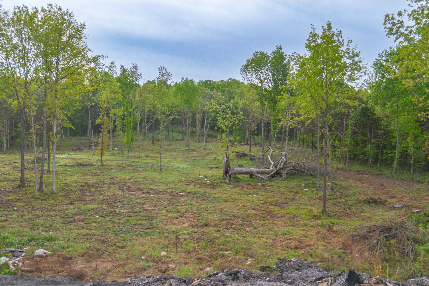 6205 Hunters Point Pike Lebanon TN 37087