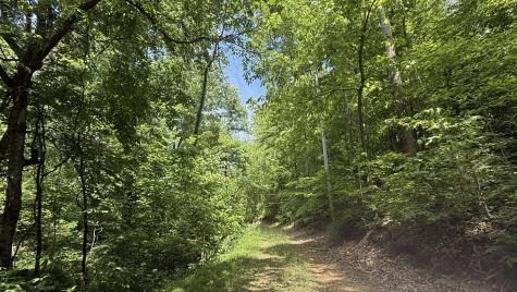 143 Buford Hughey Road Dellrose TN 38453