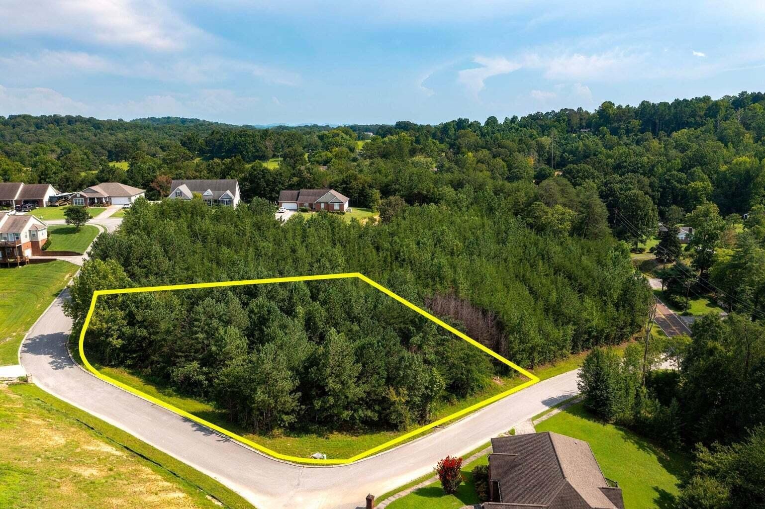 0 Nicole Drive Dayton TN 37321
