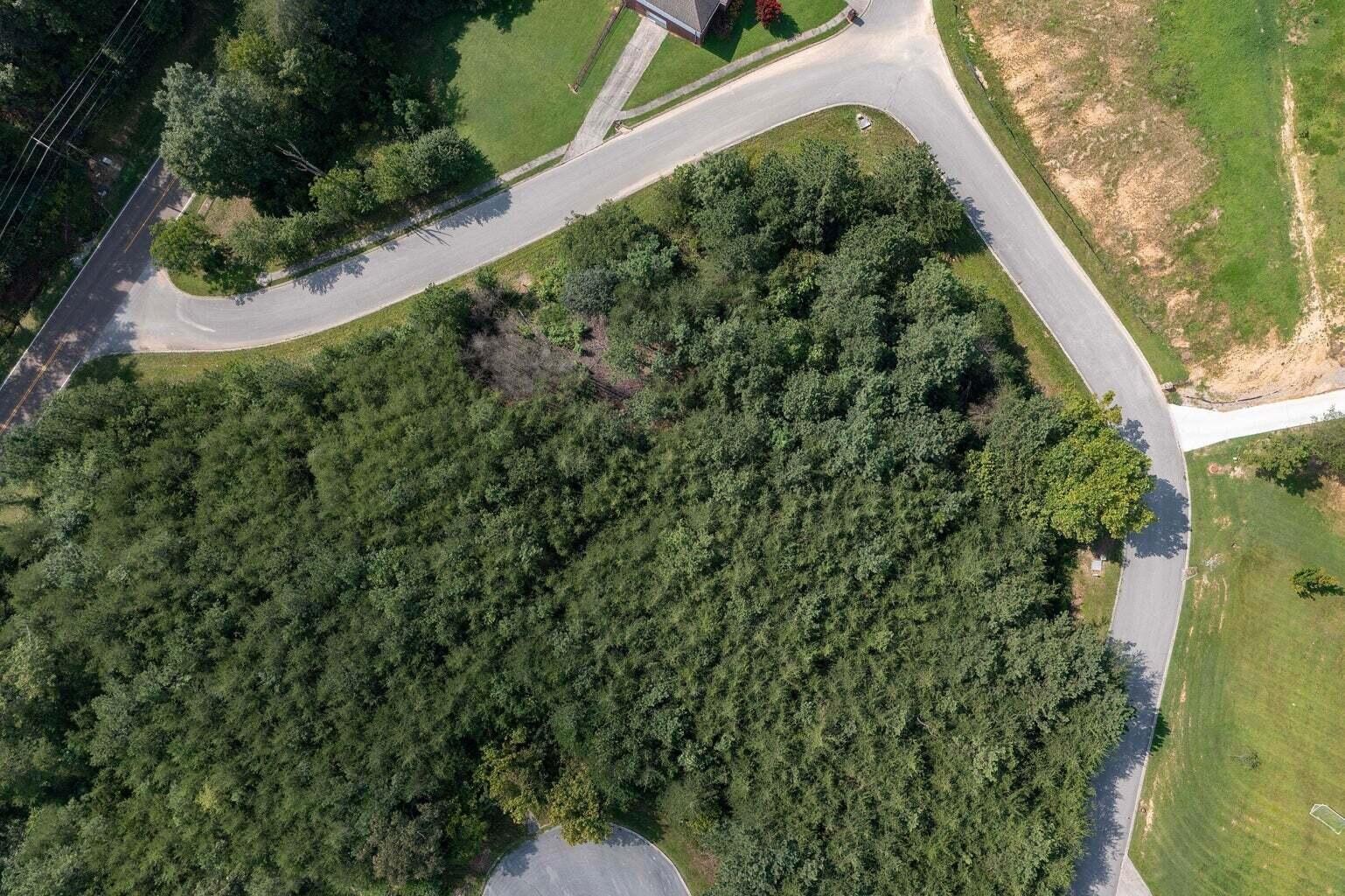 0 Nicole Drive Dayton TN 37321