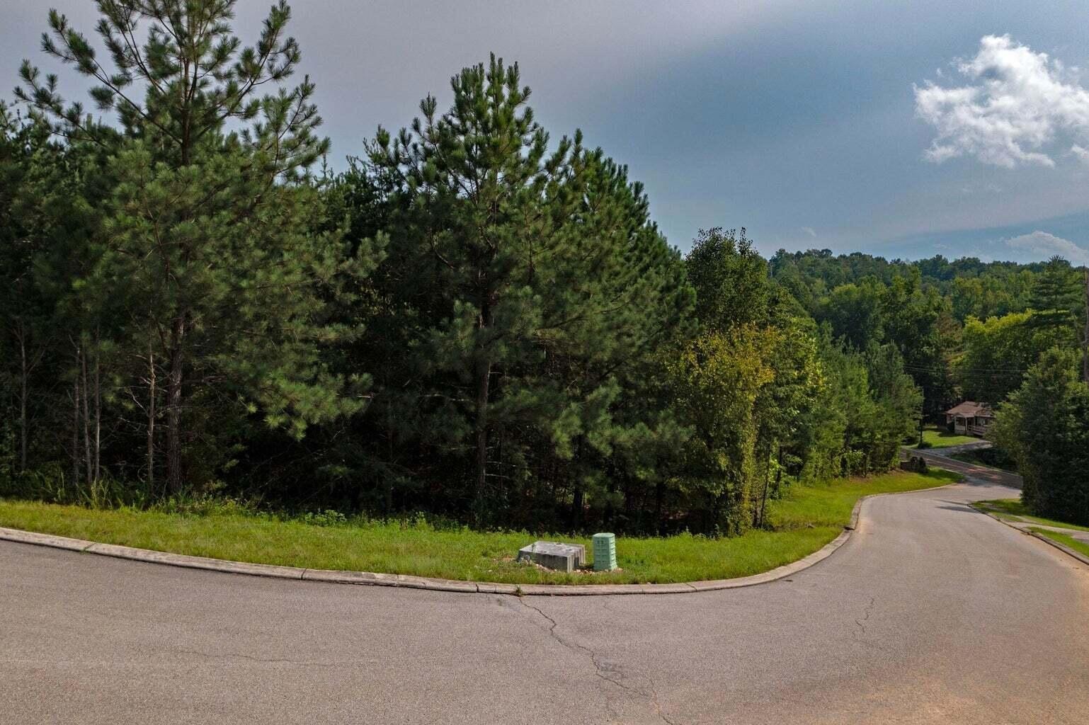 0 Nicole Drive Dayton TN 37321
