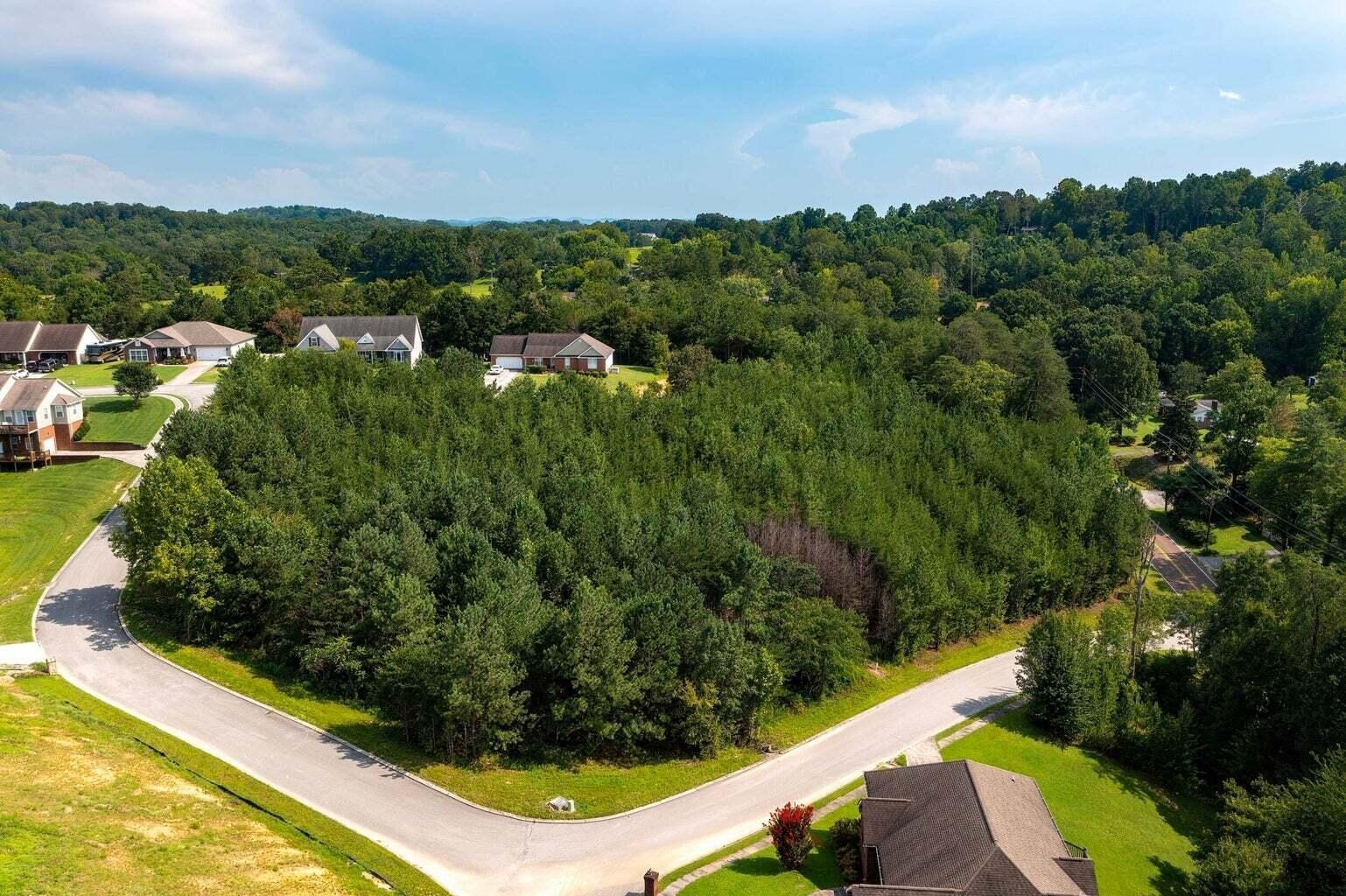 0 Nicole Drive Dayton TN 37321