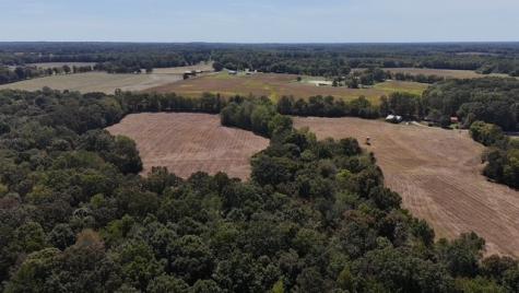 0 Cedar Grove Road Big Sandy TN 38221