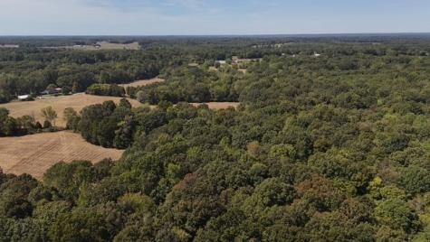 0 Cedar Grove Road Big Sandy TN 38221