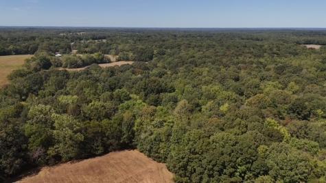 0 Cedar Grove Road Big Sandy TN 38221