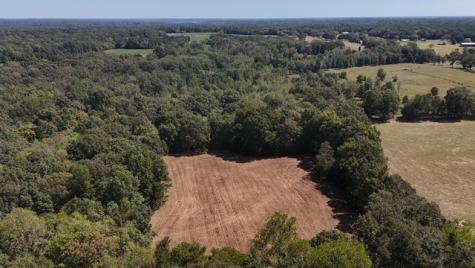 0 Cedar Grove Road Big Sandy TN 38221