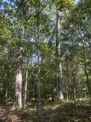 0 Cedar Grove Road Big Sandy TN 38221