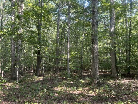 0 Cedar Grove Road Big Sandy TN 38221