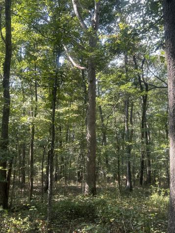 0 Cedar Grove Road Big Sandy TN 38221