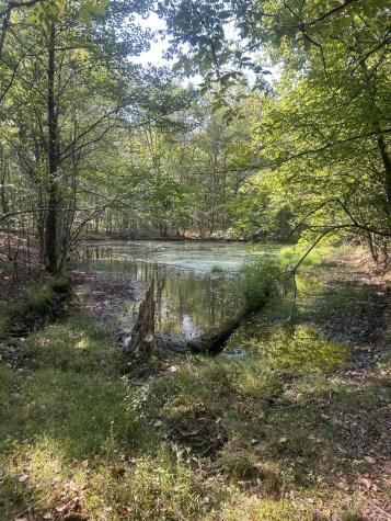 0 Cedar Grove Road Big Sandy TN 38221