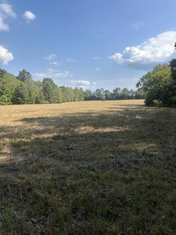 0 Cedar Grove Road Big Sandy TN 38221