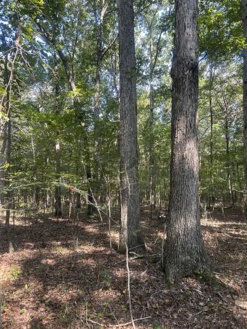 0 Cedar Grove Road Big Sandy TN 38221