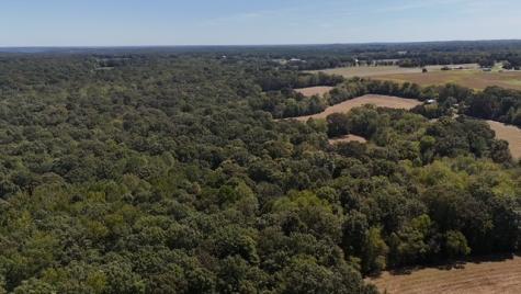 0 Cedar Grove Road Big Sandy TN 38221