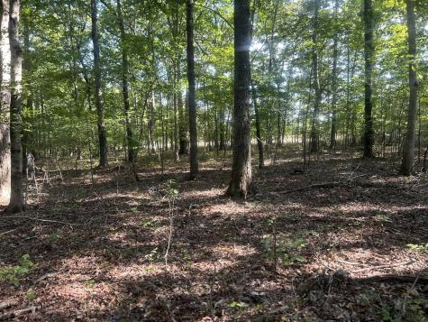 0 Cedar Grove Road Big Sandy TN 38221
