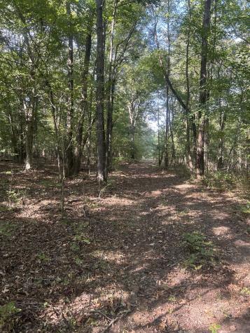 0 Cedar Grove Road Big Sandy TN 38221