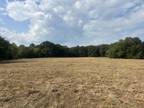 0 Cedar Grove Road Big Sandy TN 38221
