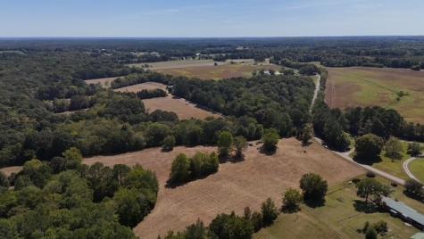 0 Cedar Grove Road Big Sandy TN 38221
