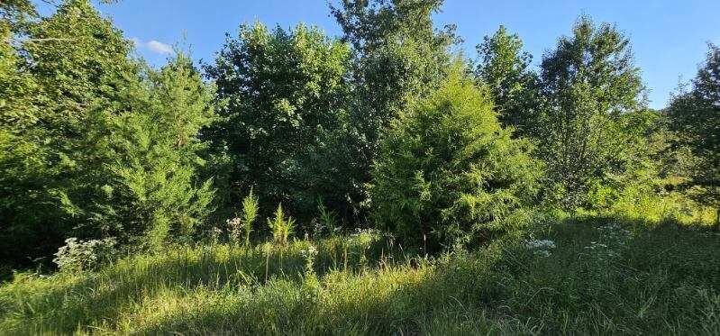 561 Bluff View Drive Dunlap TN 37327