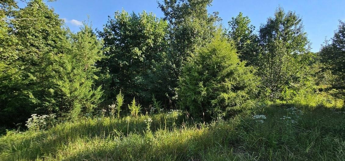 561 Bluff View Drive Dunlap TN 37327