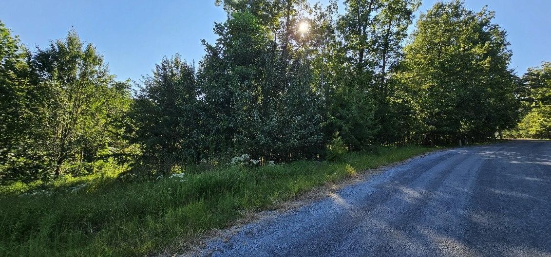 561 Bluff View Drive Dunlap TN 37327