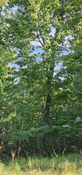 561 Bluff View Drive Dunlap TN 37327