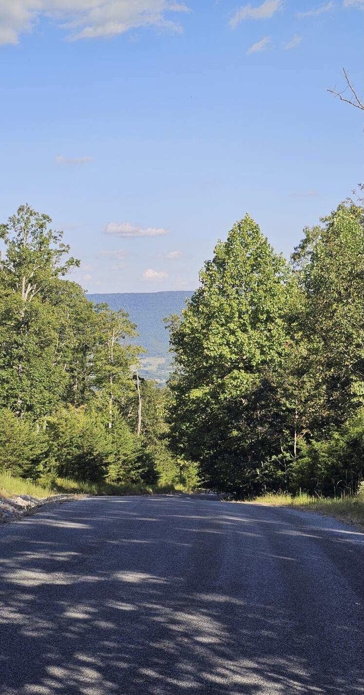 561 Bluff View Drive Dunlap TN 37327