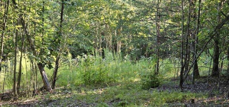 561 Bluff View Drive Dunlap TN 37327