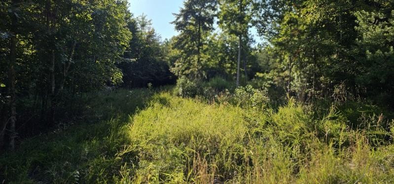 561 Bluff View Drive Dunlap TN 37327