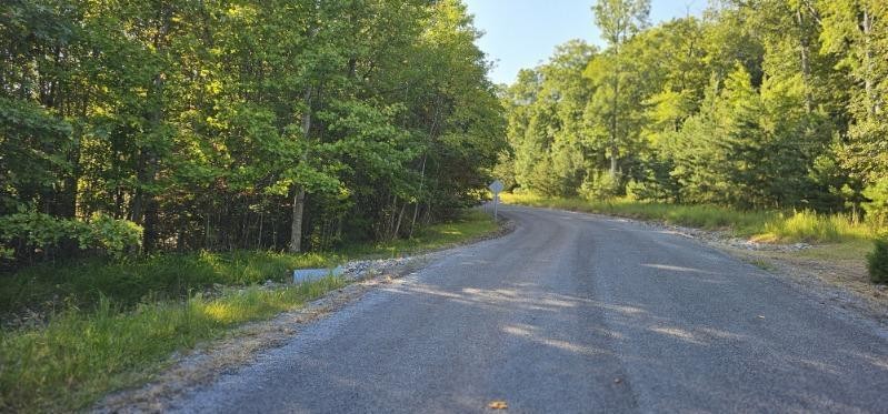 561 Bluff View Drive Dunlap TN 37327
