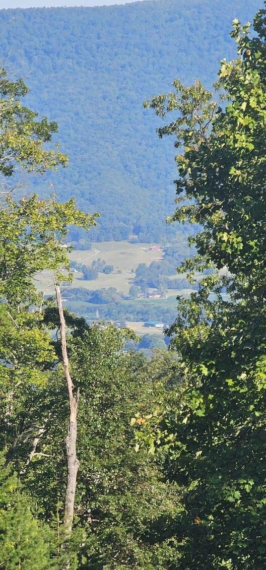 561 Bluff View Drive Dunlap TN 37327