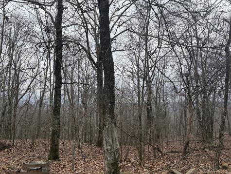 0 Nancy Wynn Lane Sewanee TN 37375