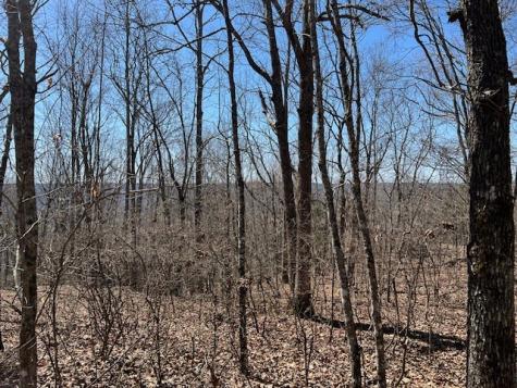 0 Nancy Wynn Lane Sewanee TN 37375