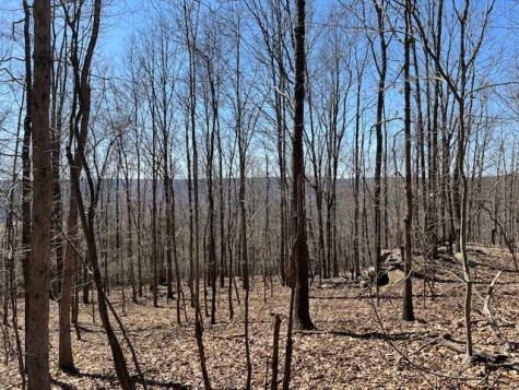 0 Nancy Wynn Lane Sewanee TN 37375
