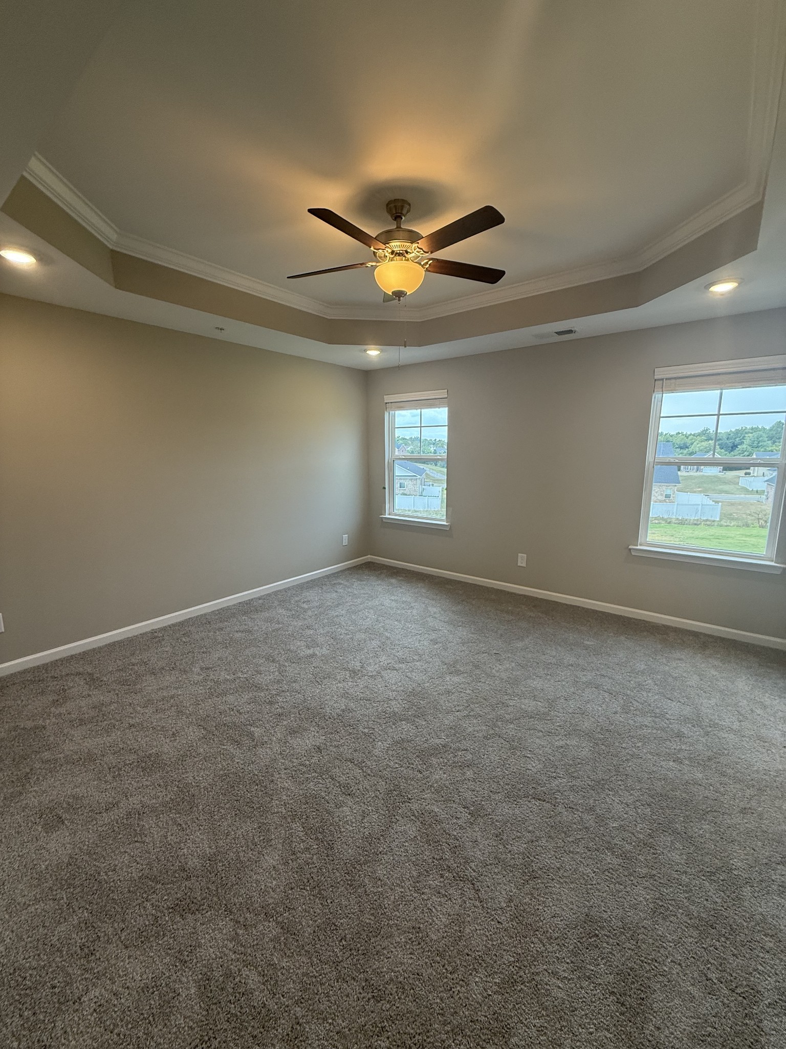 258 Selesia Lane Pleasant View TN 37146