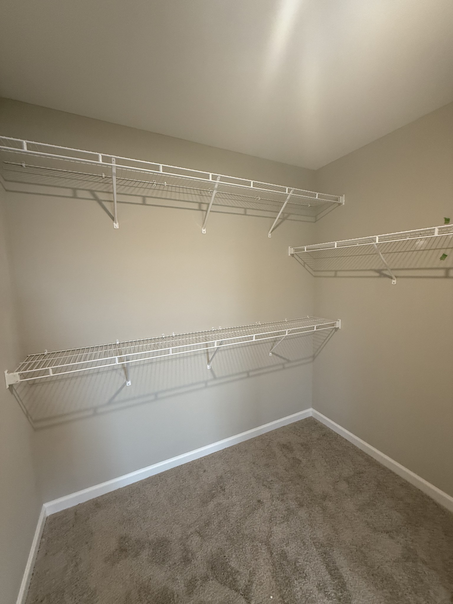 258 Selesia Lane Pleasant View TN 37146