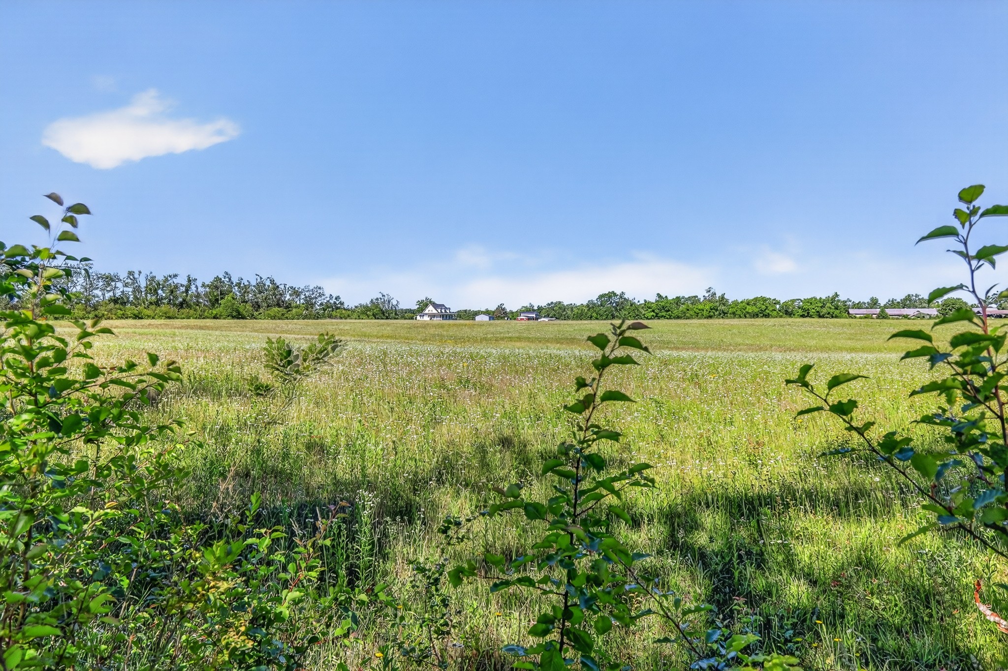630 Edgefield Drive Hohenwald TN 38462