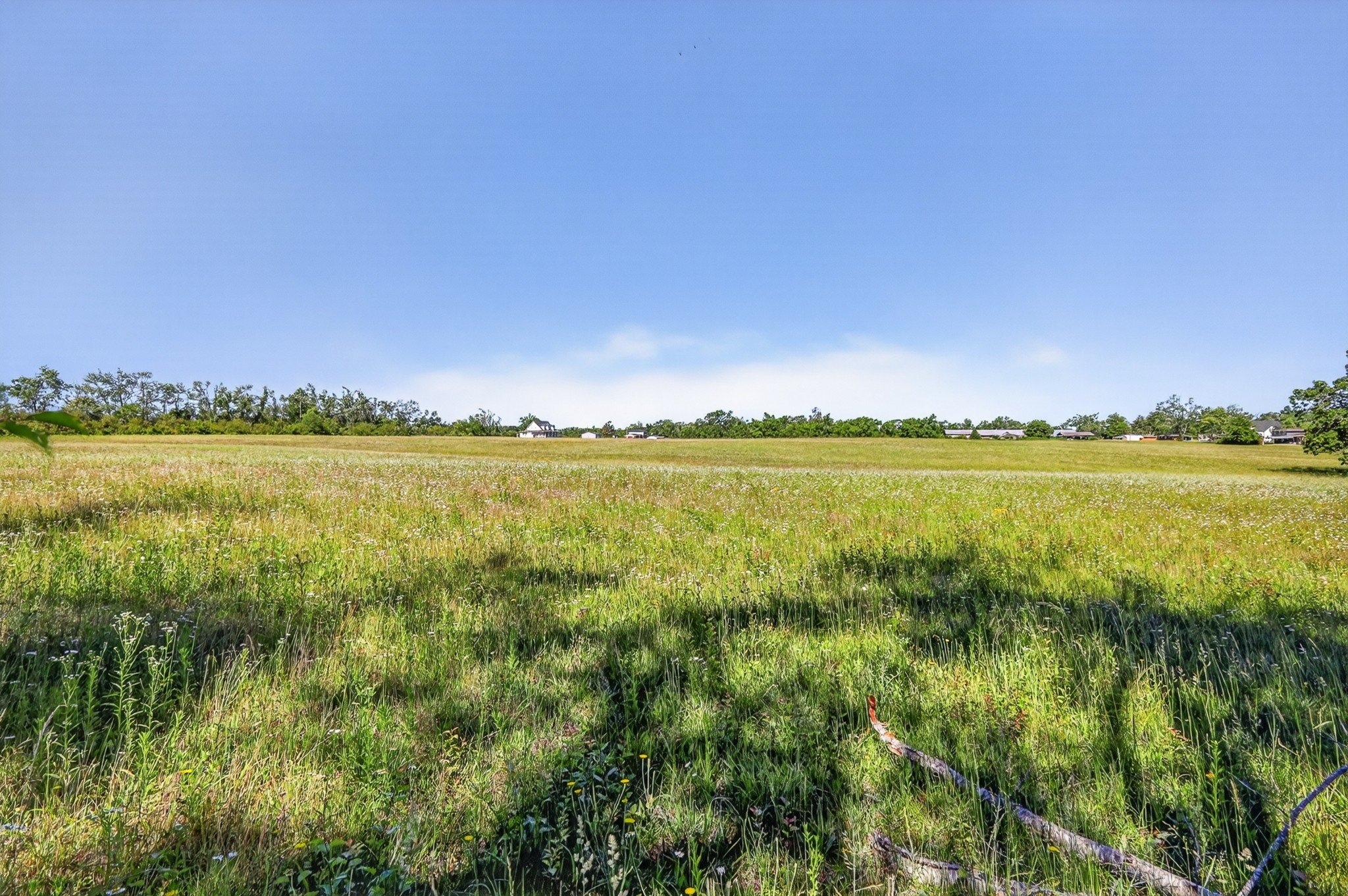 630 Edgefield Drive Hohenwald TN 38462