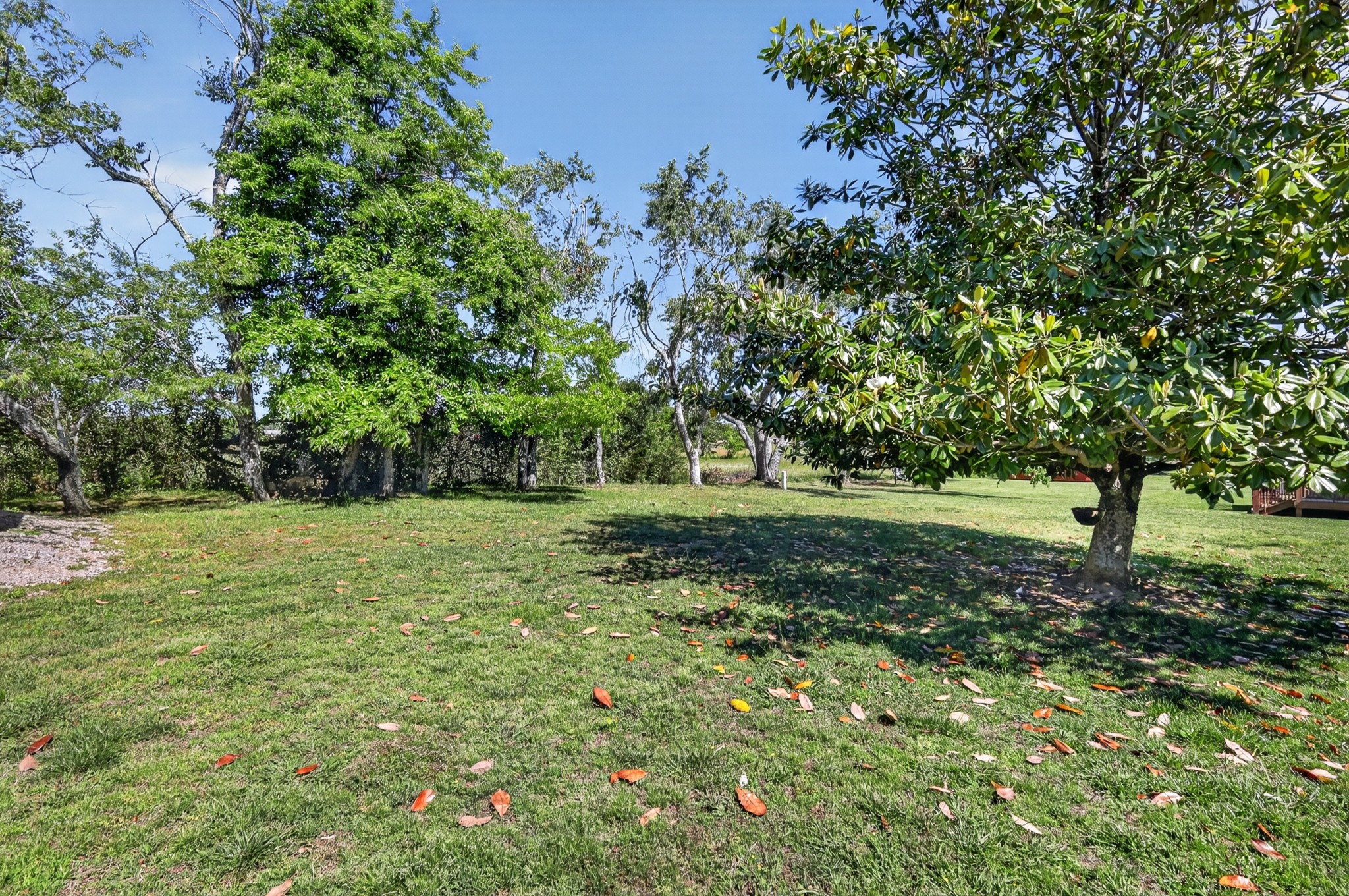 630 Edgefield Drive Hohenwald TN 38462