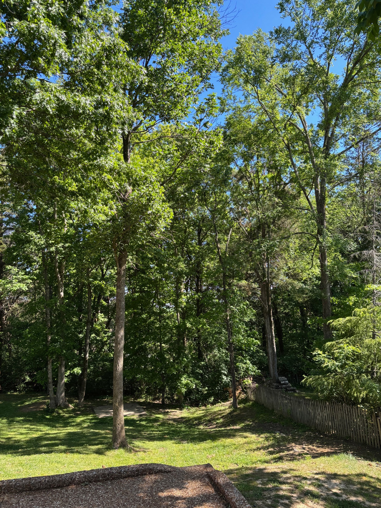629 Mer Rouge Drive Nolensville TN 37135