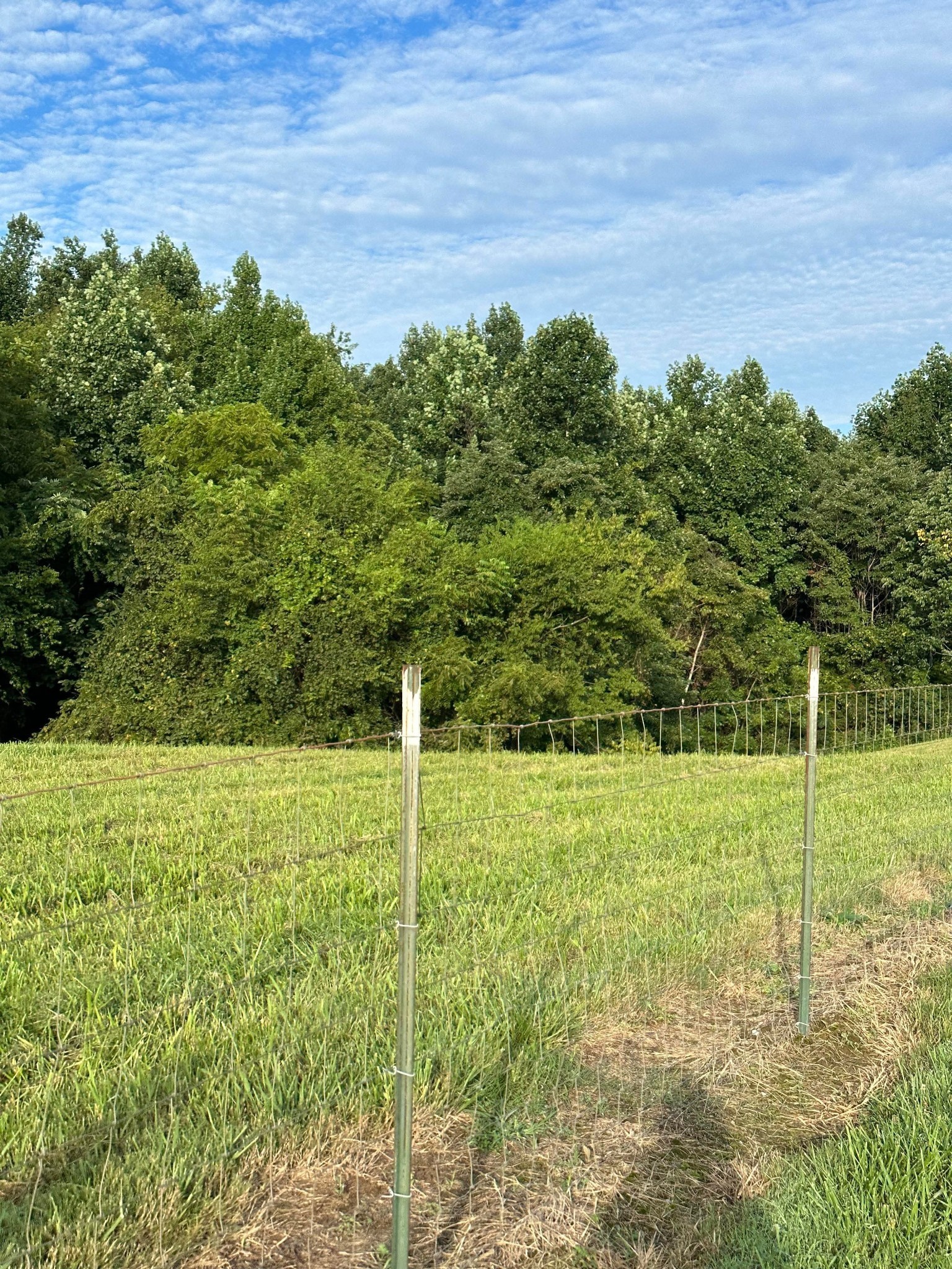0 Knob Creek Road Wartrace TN 37183