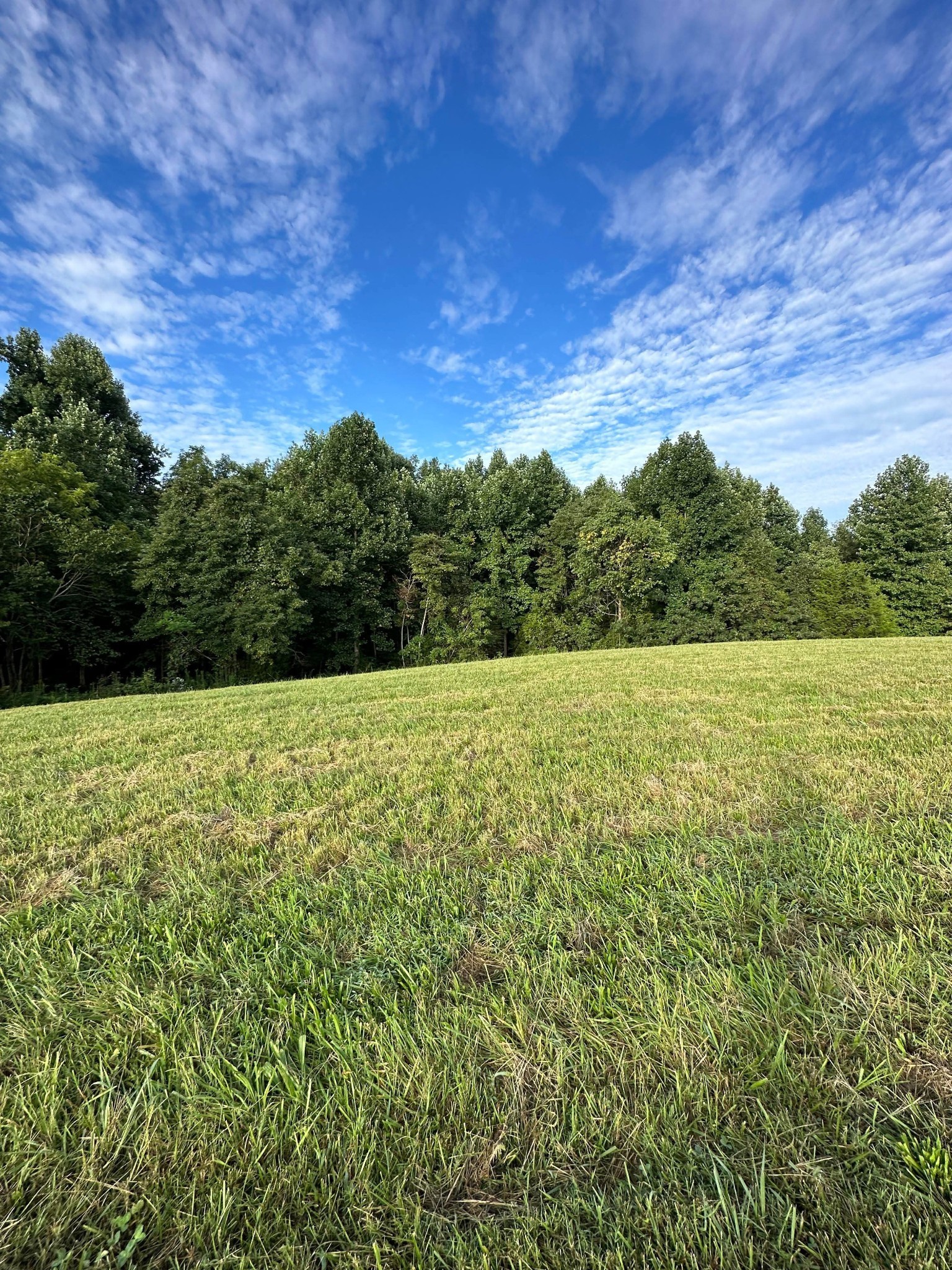 0 Knob Creek Road Wartrace TN 37183
