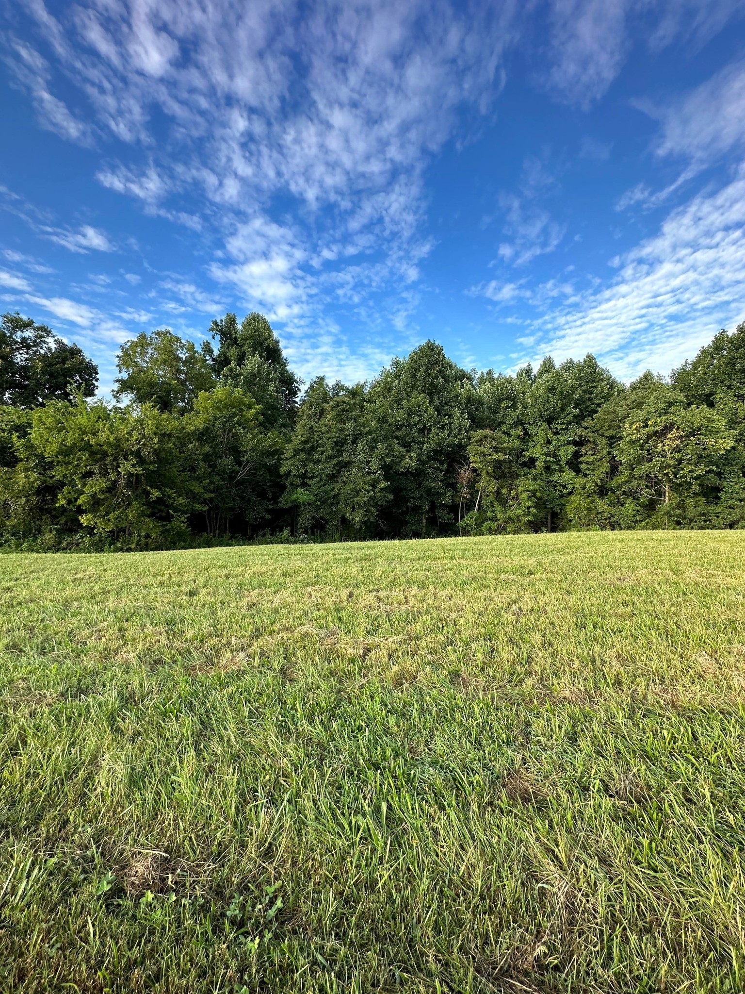 0 Knob Creek Road Wartrace TN 37183