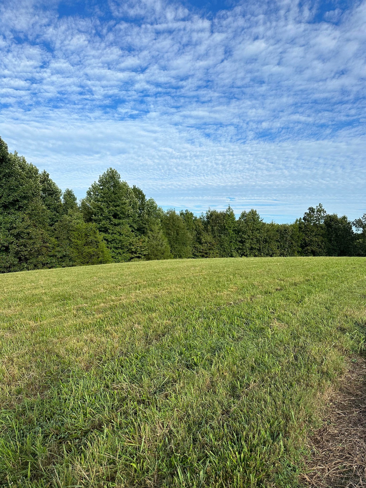0 Knob Creek Road Wartrace TN 37183
