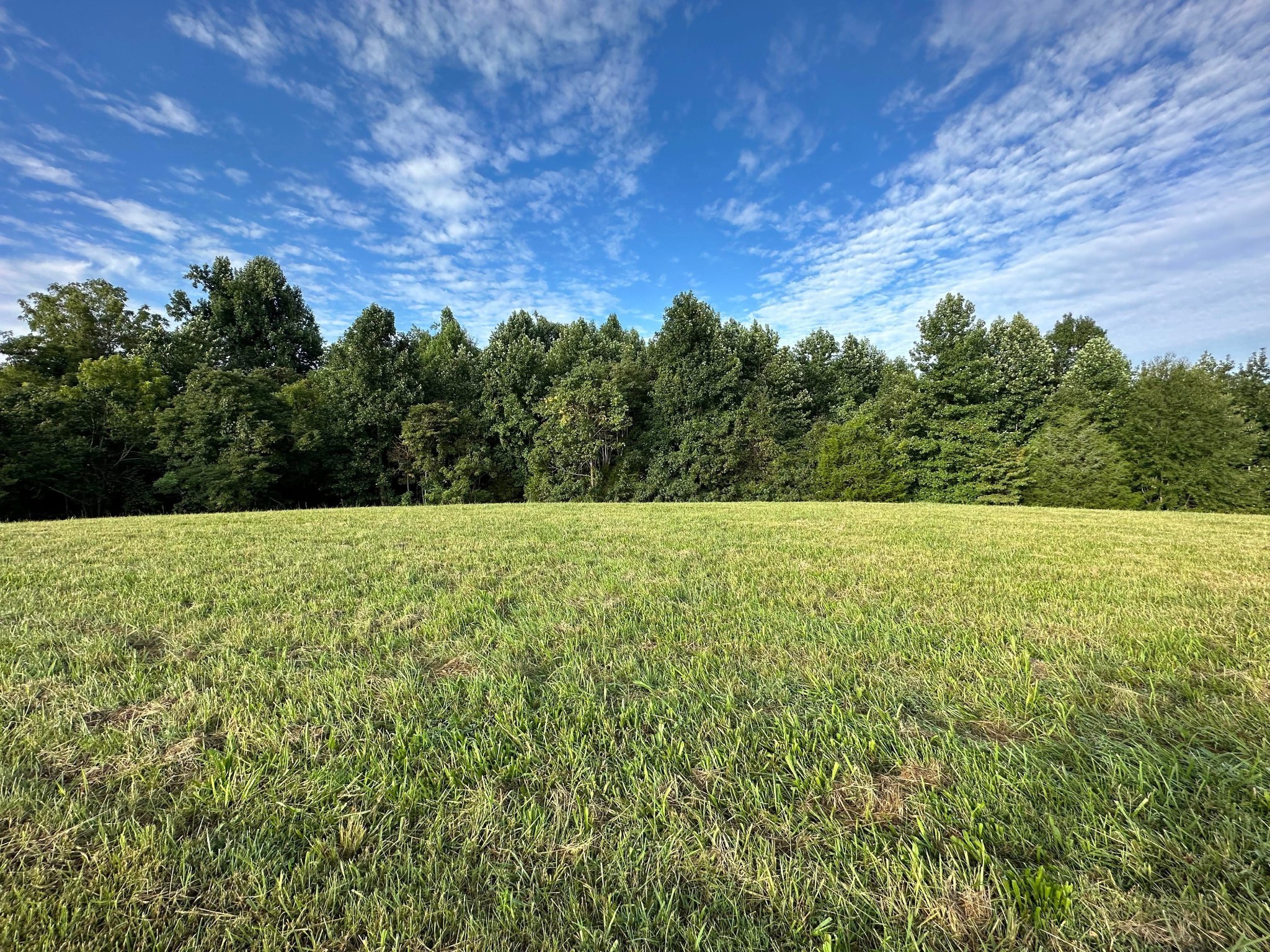 0 Knob Creek Road Wartrace TN 37183