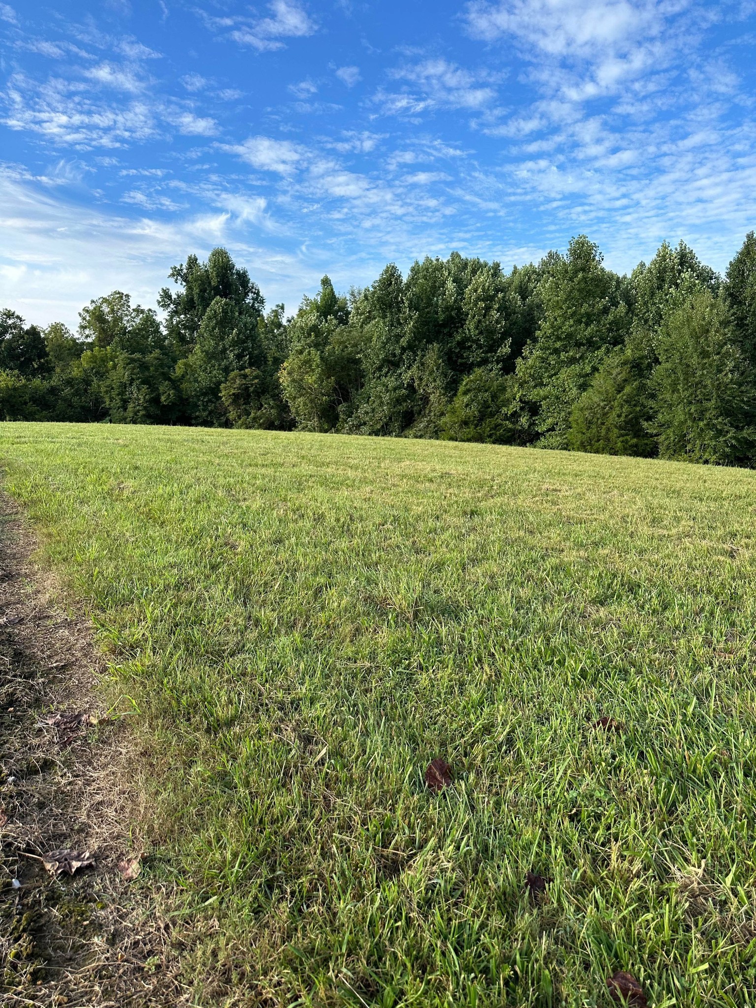 0 Knob Creek Road Wartrace TN 37183