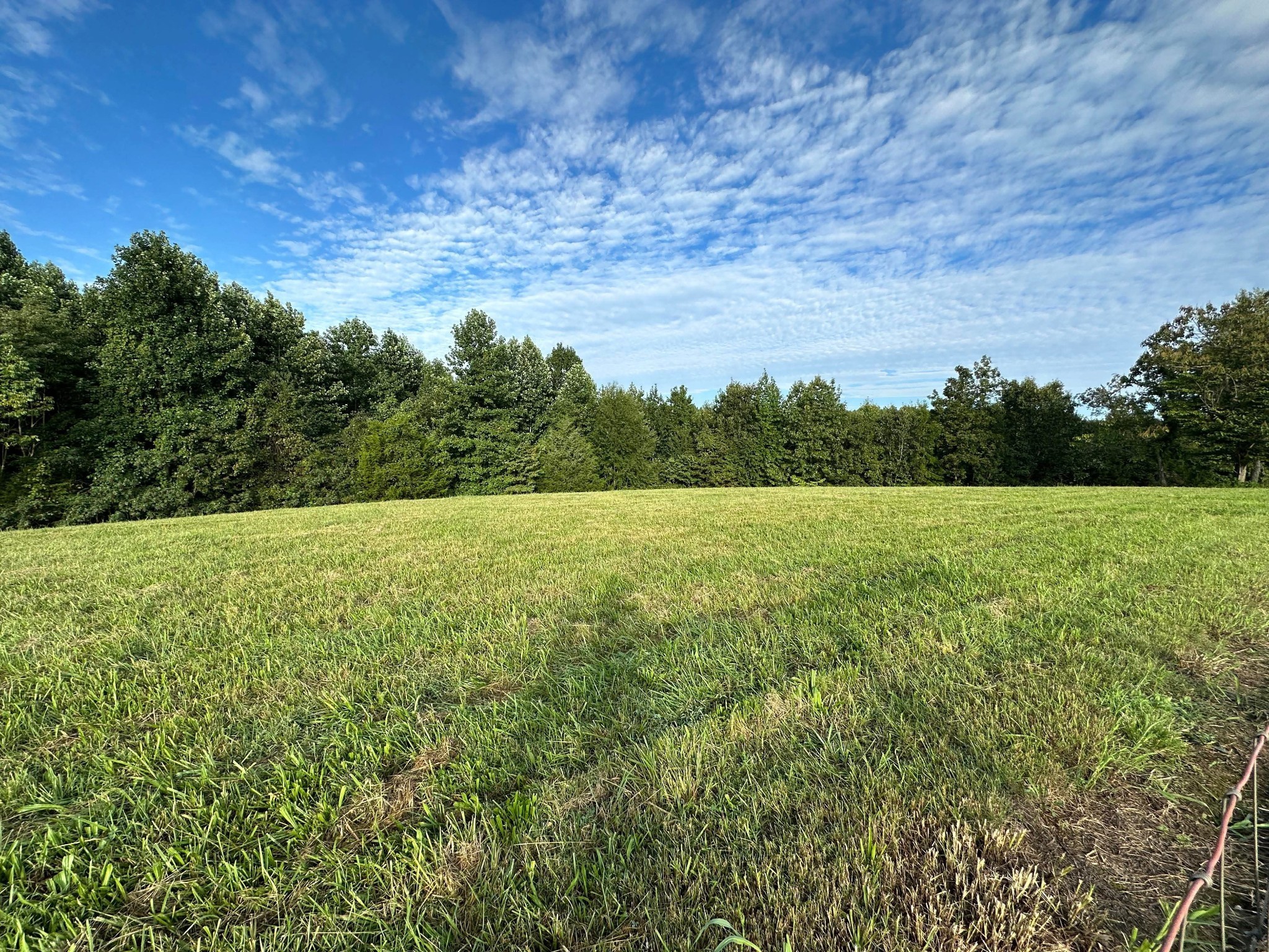 0 Knob Creek Road Wartrace TN 37183