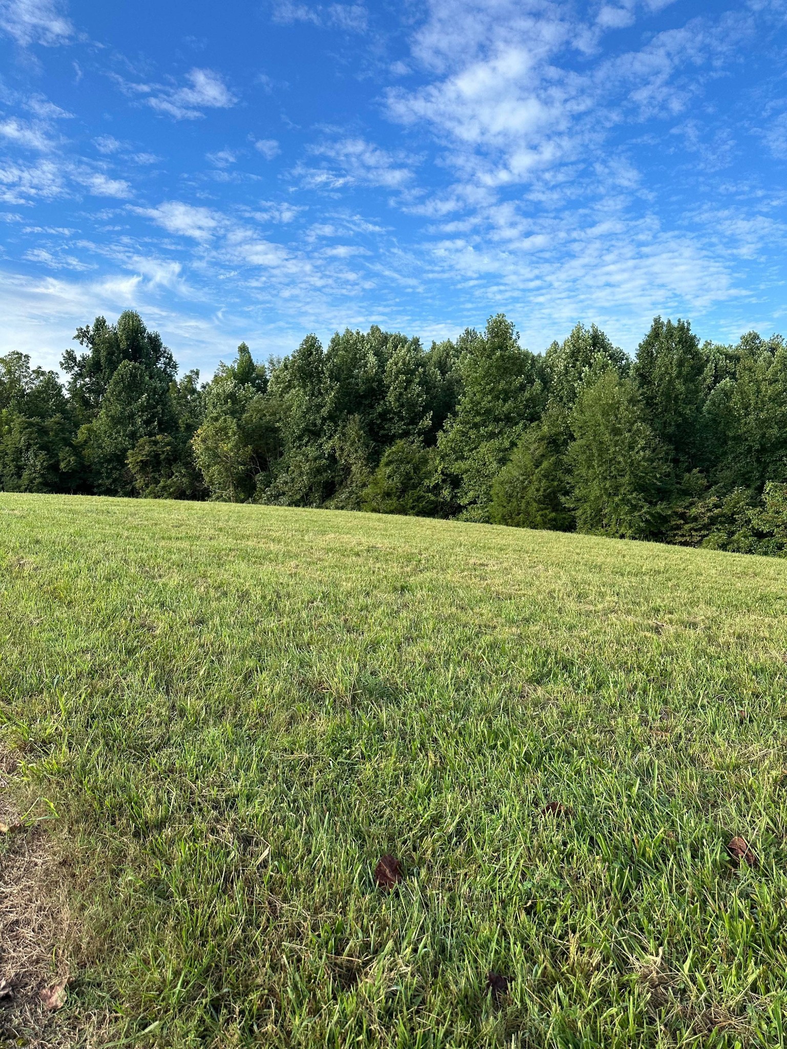 0 Knob Creek Road Wartrace TN 37183