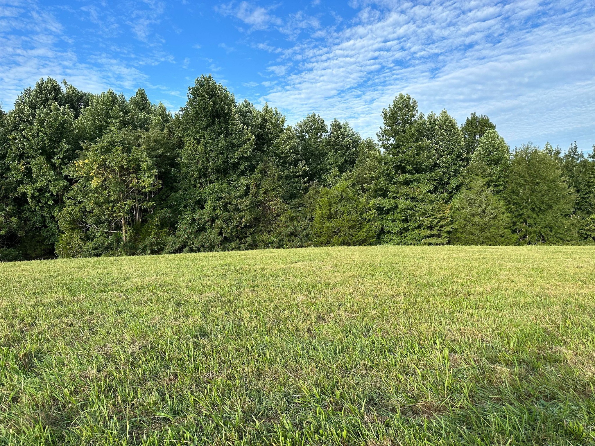 0 Knob Creek Road Wartrace TN 37183