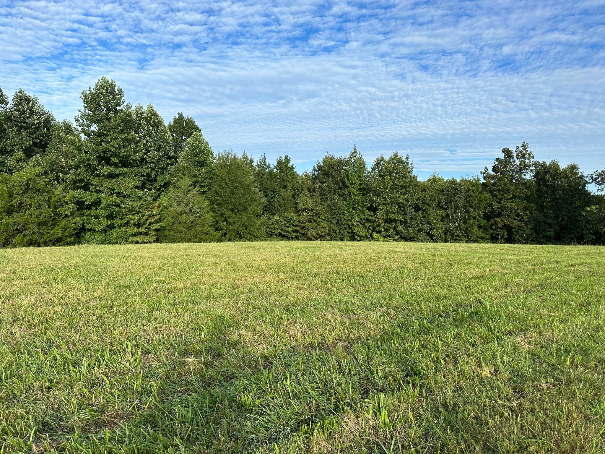 0 Knob Creek Road Wartrace TN 37183